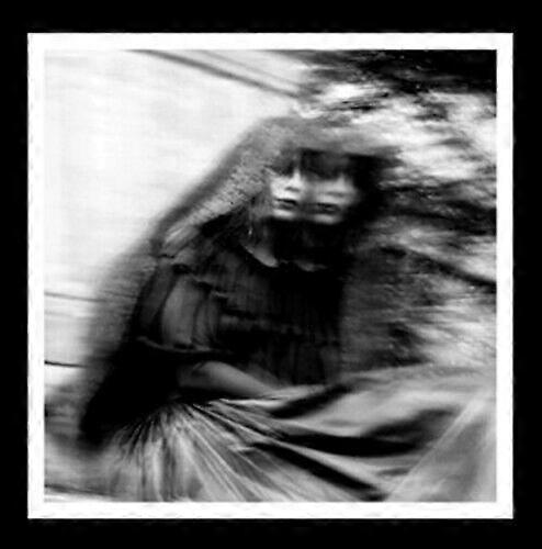 Gallows Desolation Sounds CD Album Digipak (2015)
