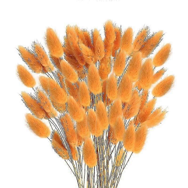 60pcs Fall Dried Bunny S For Dried Fl(oran)