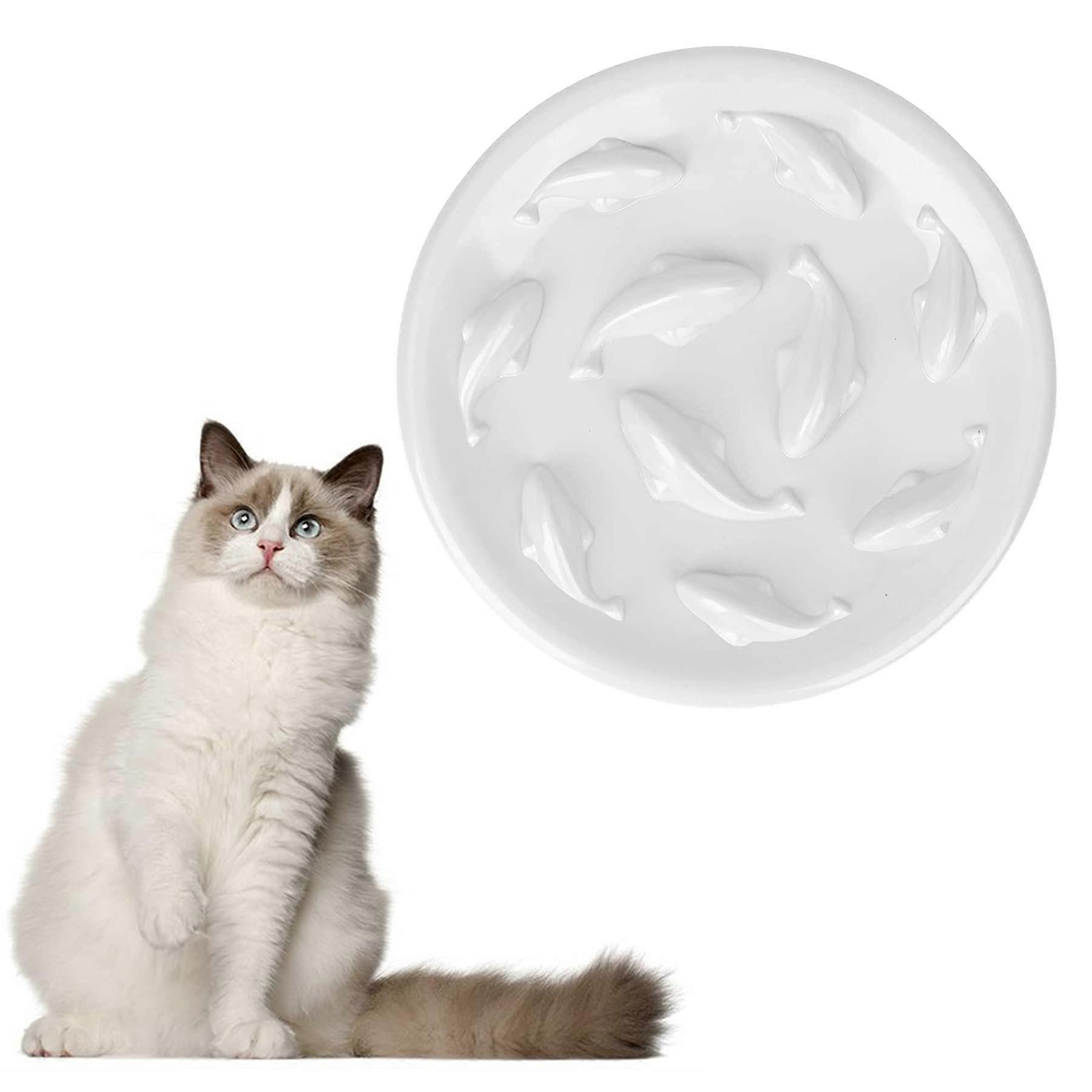Slow Feeder For Cat And Small Dog Puzzle Feed Bowl Anti Gulping Small White