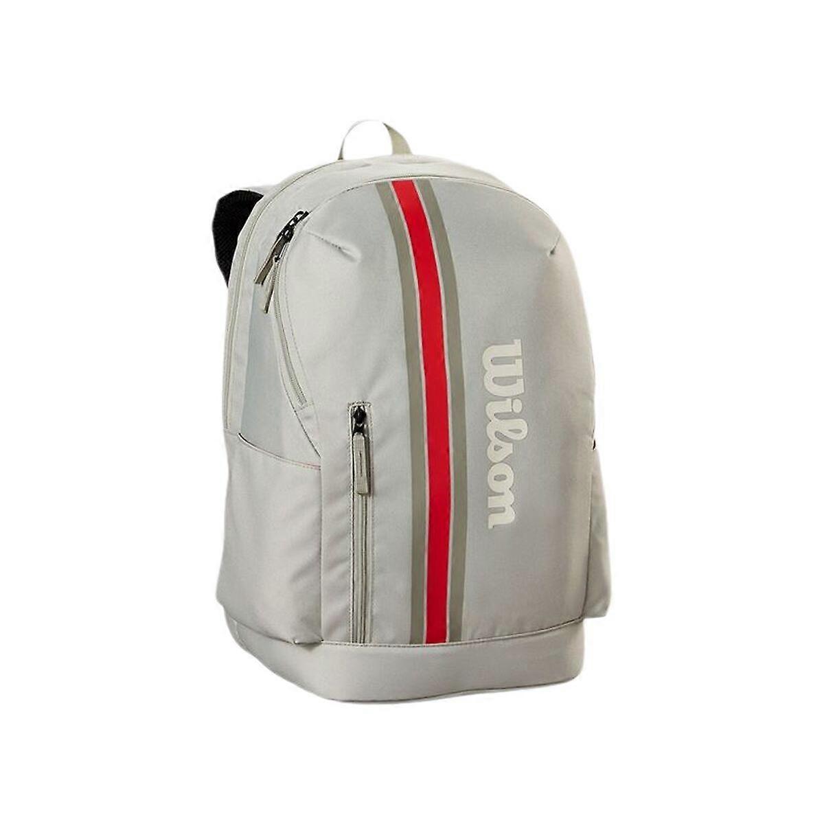 Racquet bag Wilson Team Backpack 2025