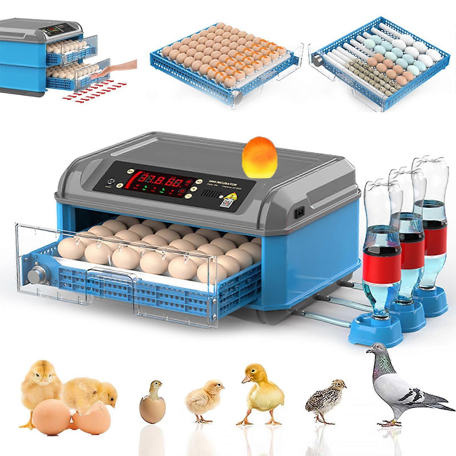 Automatic Egg Incubator with Auto Turning, Temperature and Humidity Control, Dual Power for 36 Eggs