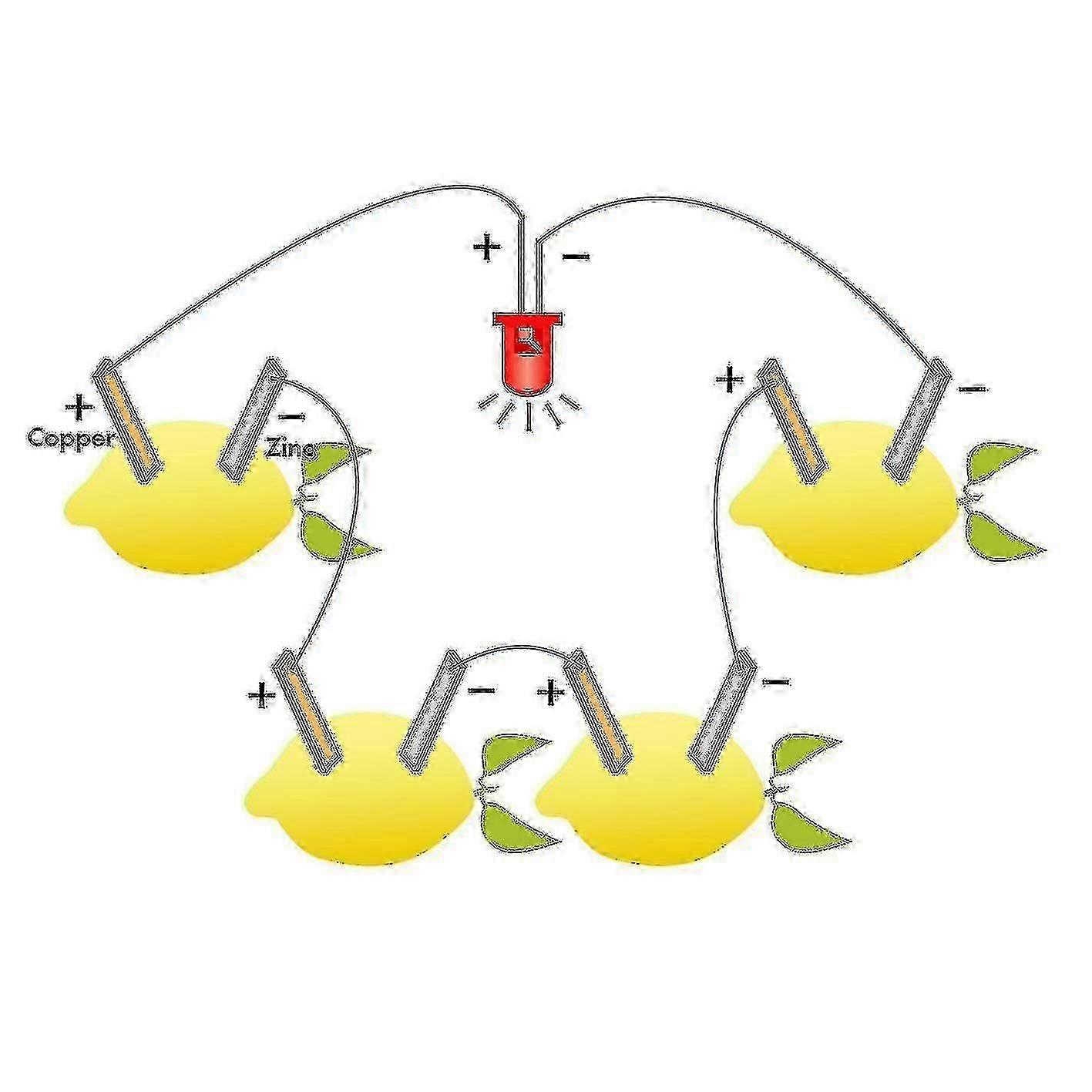 Orange Potato Lemon Battery Physics Teaching Experiment Fruit Battery Led Science Kit