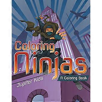 färg ninjor (en målarbok)