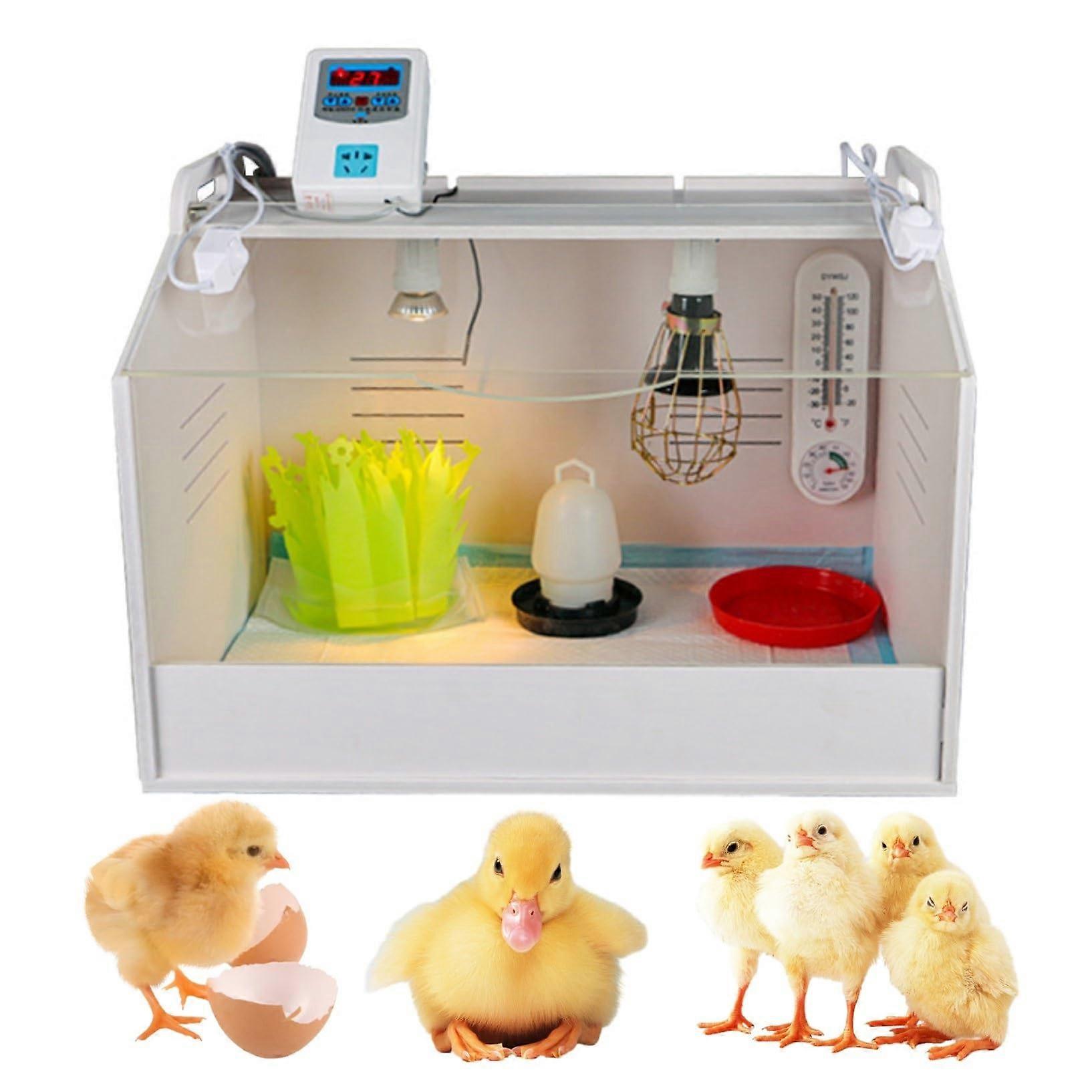 Chicken Brooder Box with Automatic Temperature Control and Lighting for Chicks Ducks Quail 58x40x42cm White