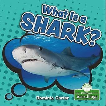 Cos'è uno squalo? (I miei primi libri di scienza)