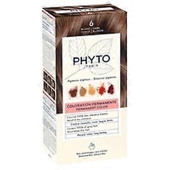 Phytocolor 6 Dark Blonde 1 unit