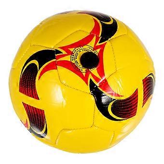 Multi-Function Soccer Toy Mini Soccer Ball for Playing PVC Material