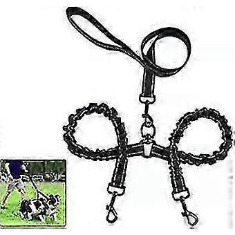 Double Dog 360tangle-free Leash For 2 Dogs Double Dog Leash