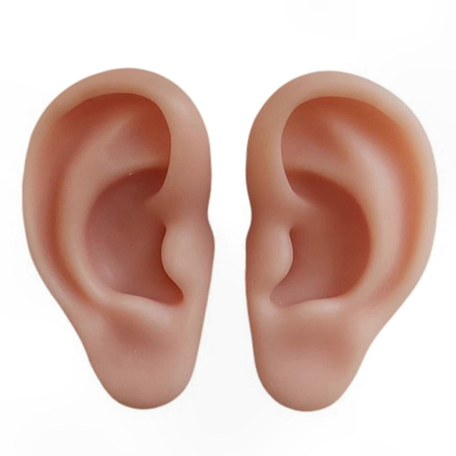 Realistic Silicone Ear Model for Demonstration and Practice Tool