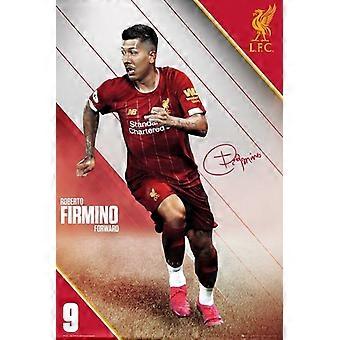 Jigsaw Puzzle Liverpool Firmino 2019/2020 PREMIER LEAGUE CHAMPIONS Soccer Football FOO1562