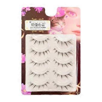 Wispy C Curl Natural False Lashes