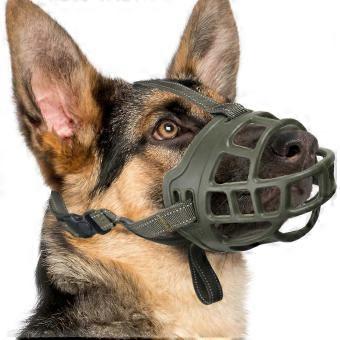 Secure Adjustable Basket Muzzle with Reflectivity