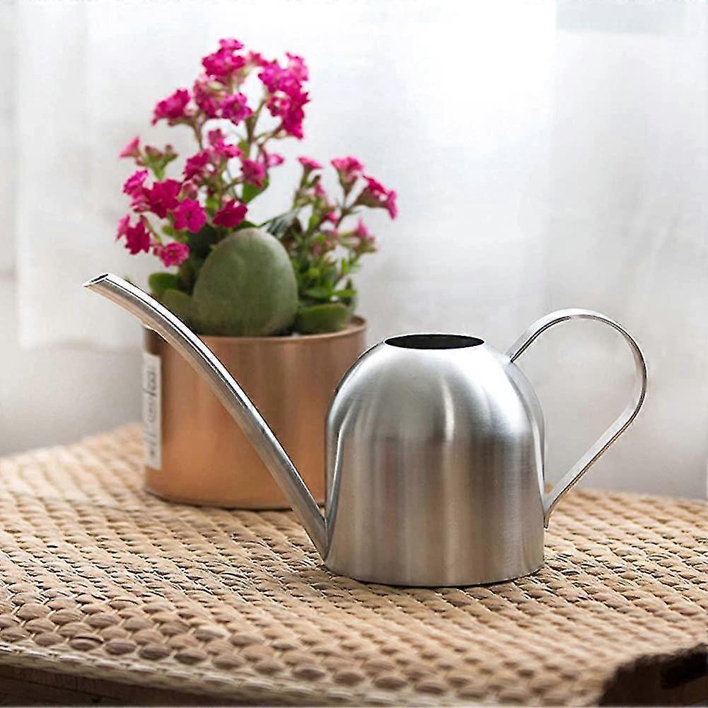 Rustproof Long-Reach Stainless Watering Can