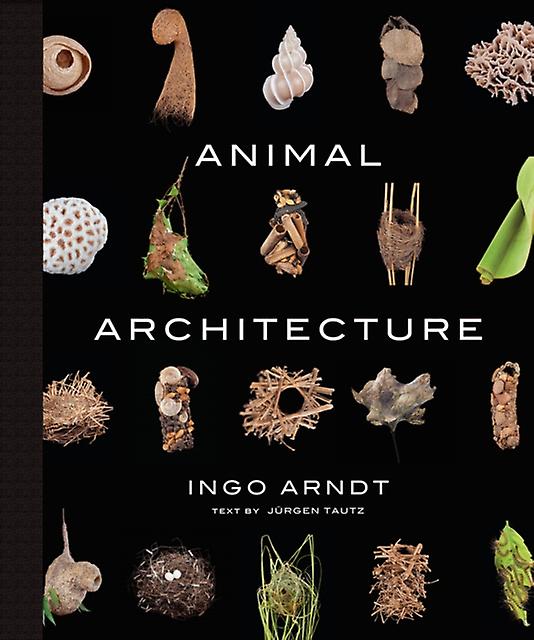 Animal Architecture by Ingo Arndt Hardback Book