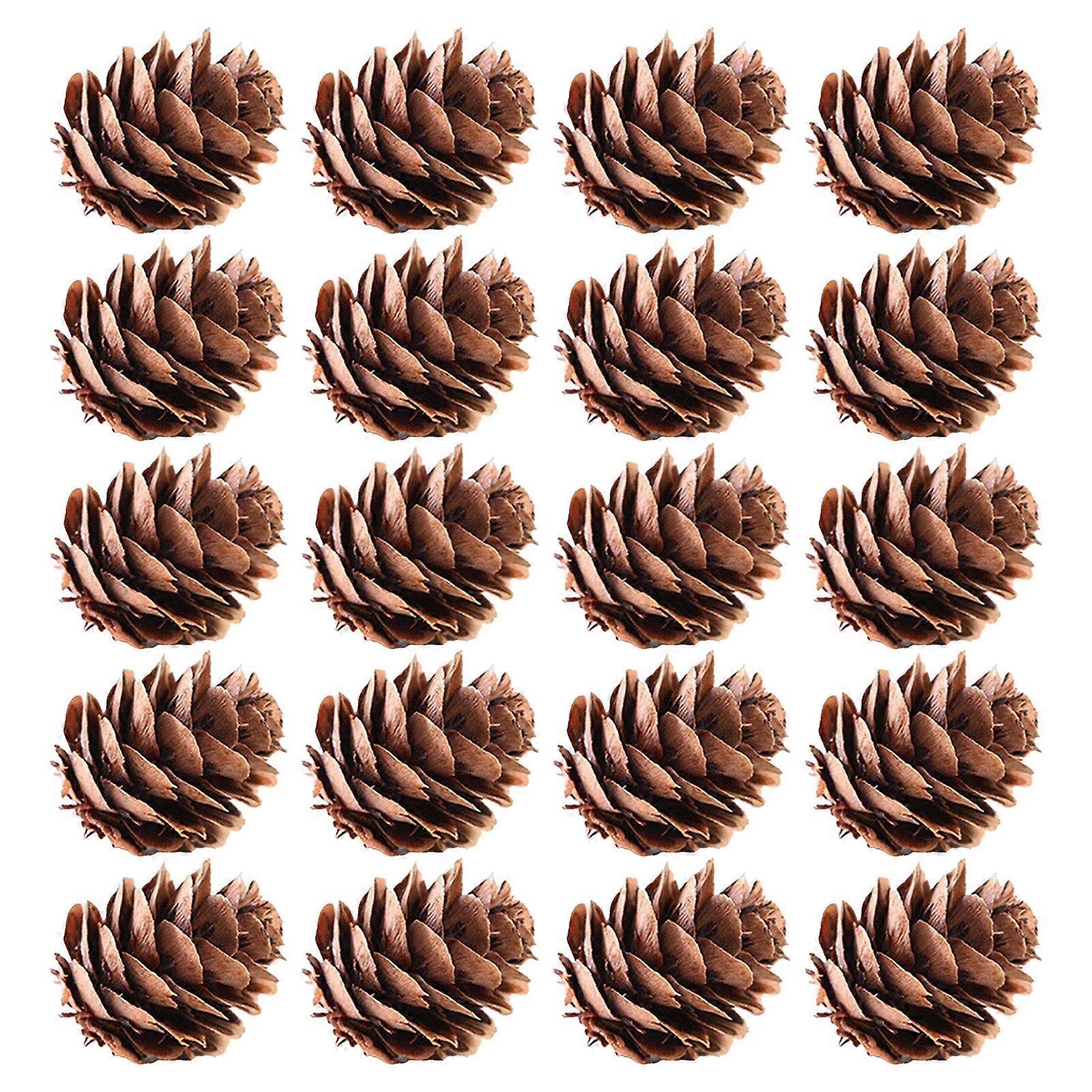 20Pcs Attractive Fake Pine Cone Widely Use Natural Decorative DIY Simulation Pinecone for Festival