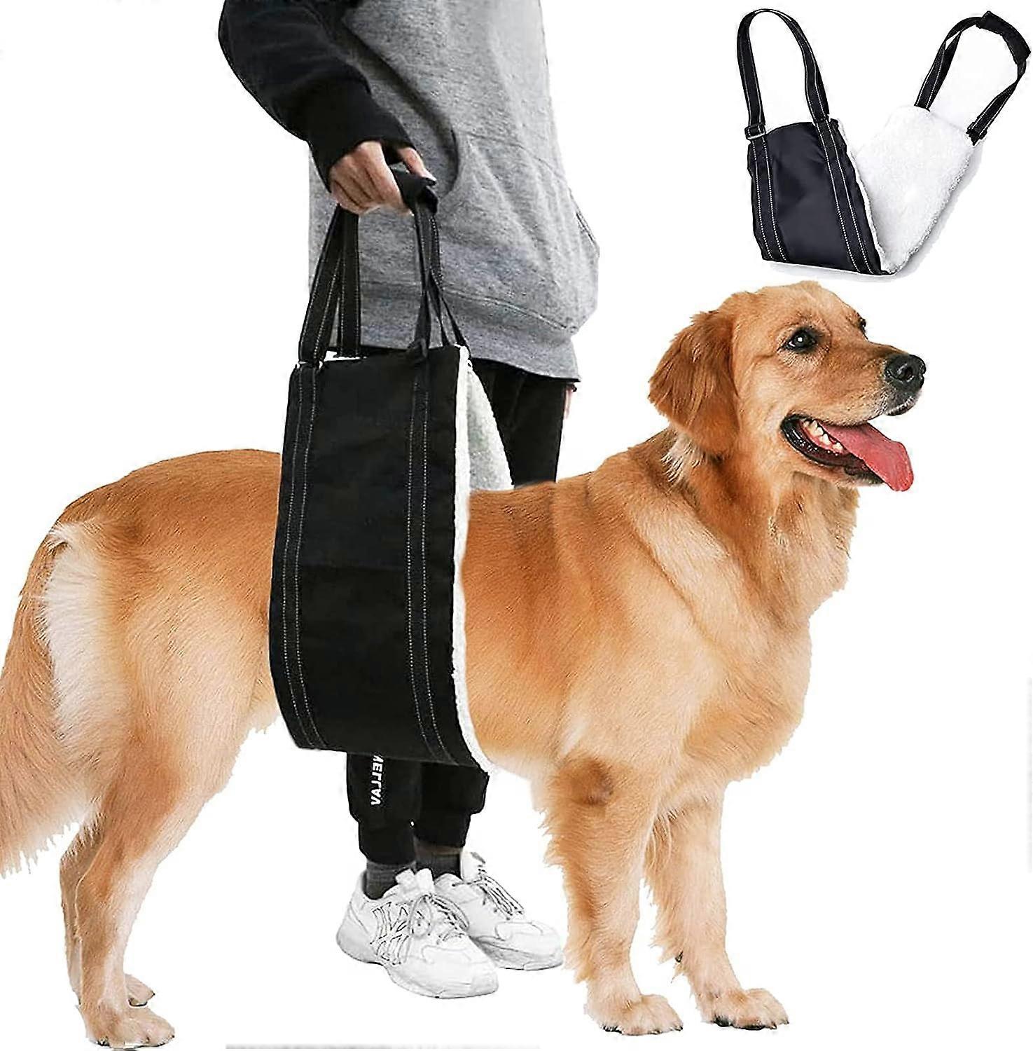 Harnais de Levage pour Chien (S), Rglable, Harnais de Soutien et de Radaptation pour Chiens, pour Les Vieux Chiens Handicaps