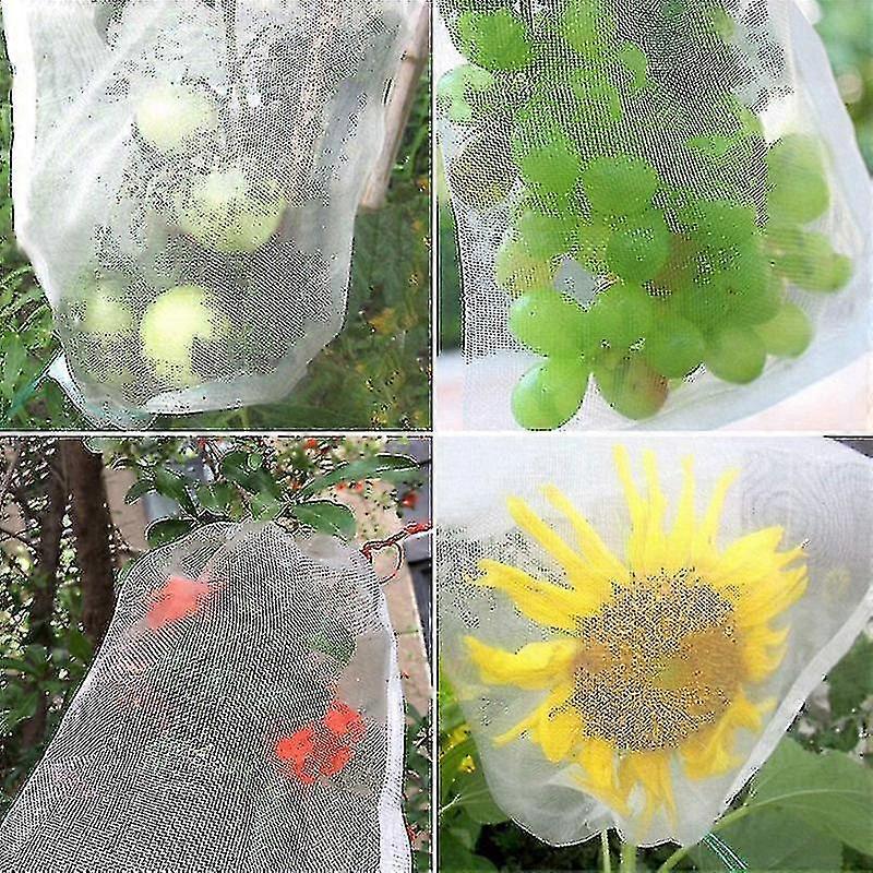 100pcs Bunch Protection Bag 23x17cm Grape Fruit Organza Bag With Drawstring Gives