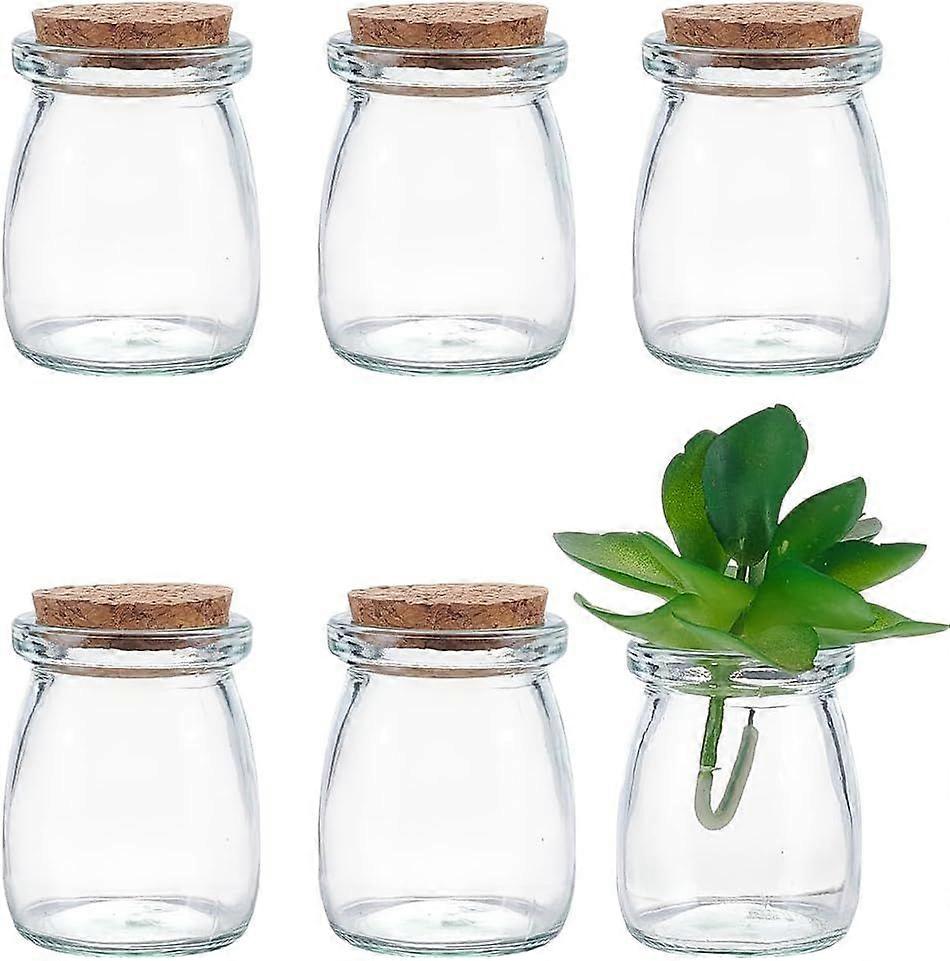6Pcs 100ml Mini Glass Bottles with Cork Stopper 3.38oz Clear Mini Glass Wish Favor Bottles Small Empty Glass Jars Storage with Wood Cork Lid for DIY C