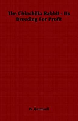 The Chinchilla Rabbit  Its Breeding for Profit