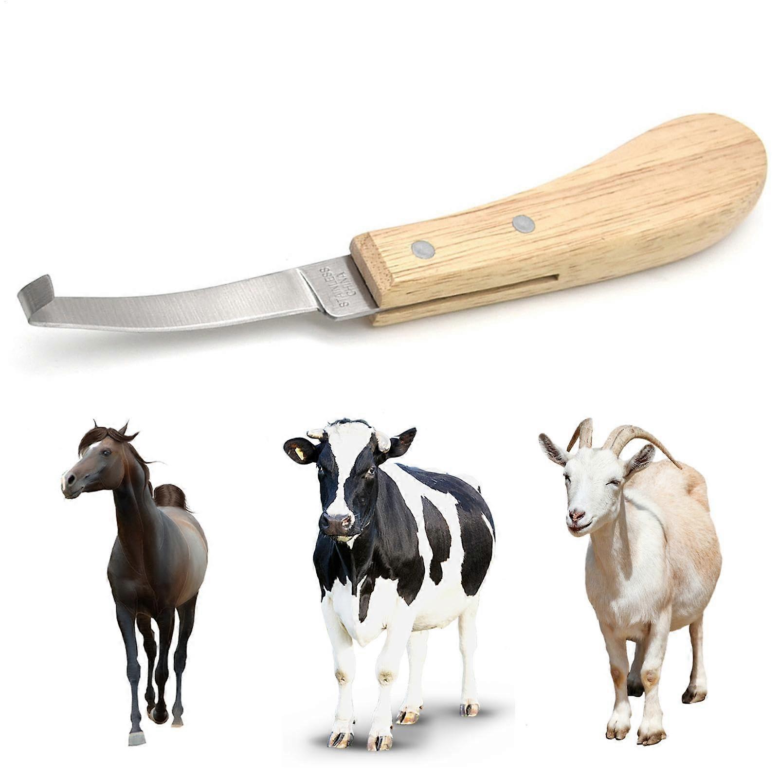 Sharp Hoof Trimming Shears for Livestock – Ergonomic Design