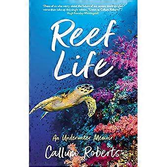 Reef Life An Underwater Memoir
