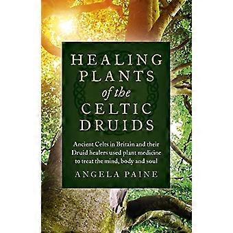 Healing Plants of the Celtic Druids Ancient Celts in Britain and their Druid healers used plant medicine to treat the mind body and soul