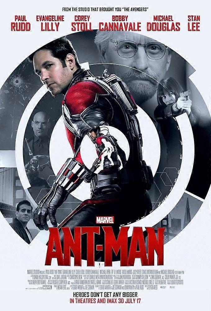 Ant Man type2Jigsaw Puzzle Brain Teaser EB 0335