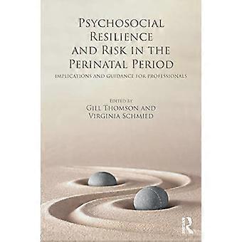 Psychosociale veerkracht en risico's in de perinatale periode