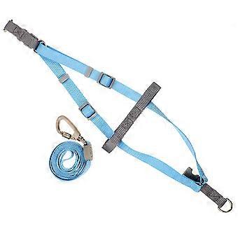 Dog Harness and Leash Adjustable Puppy Leash and Harness Set 2Sets Blue Polyester