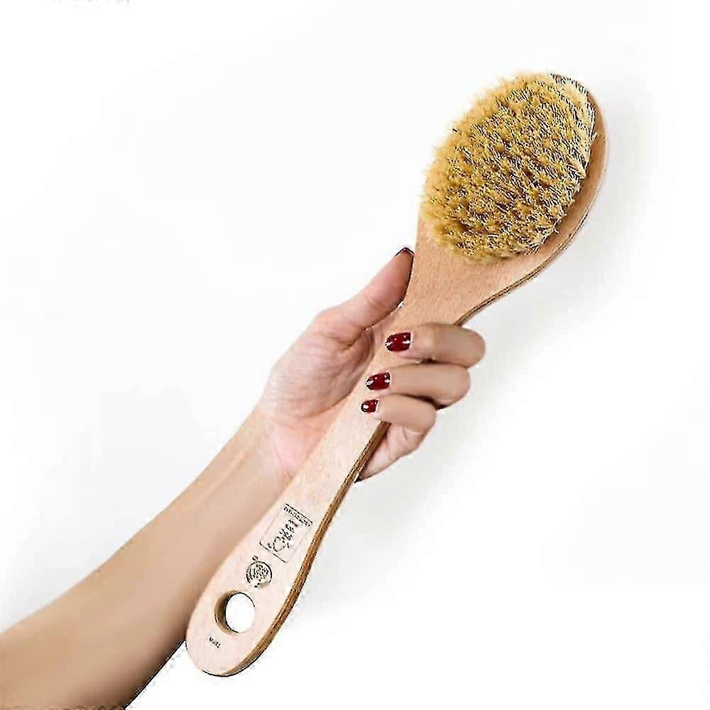 Cactus Long Handle brush