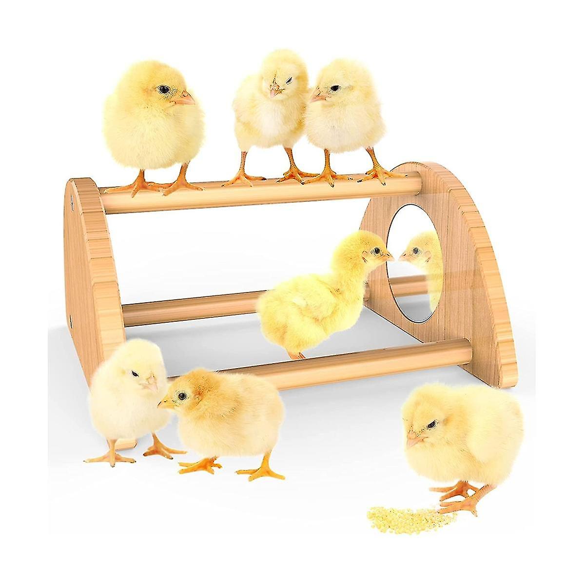 Mini Chick Perch With Mirror, Strong Bamboo Roosting Bar For Coop And Brooder, Training Perch For B