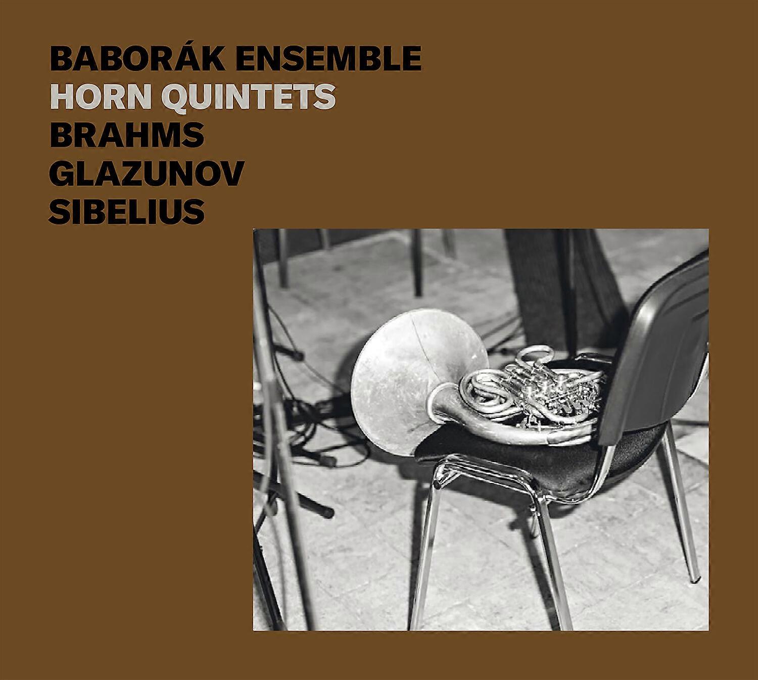 Baborak Ensemble - Horn Quintets  [COMPACT DISCS] USA import