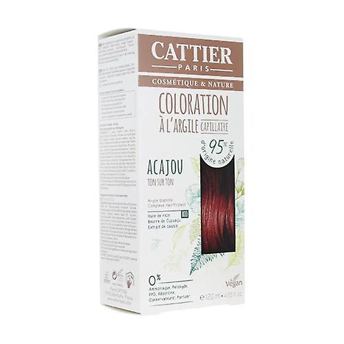 #Mahogany white clay semi-permanent dye (120 ml tube + 8 ml mask + gloves + explanatory leaflet) 1 unit