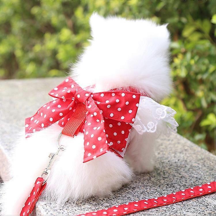 Leash for Small Dogs Dog Vest Harness and Leash Set Breathable Nylon Small Dog Harness and Leads for Chihuahua Yorkshire Teddy