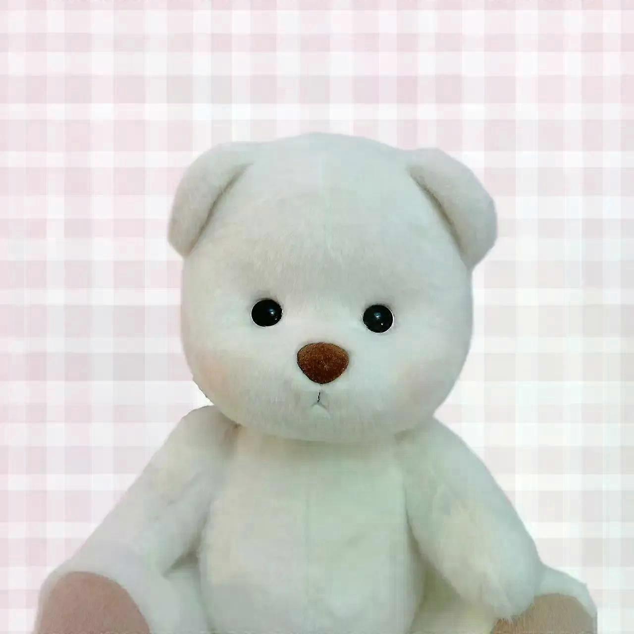 30 سنتيمتر اليدوية الأصلي دمية الدب الاشياء دمية أفخم مع الملابس لينا بير Kawaii أفخم هدية عيد ميلاد للأطفال صديقة