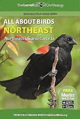 All About Birds Northeast