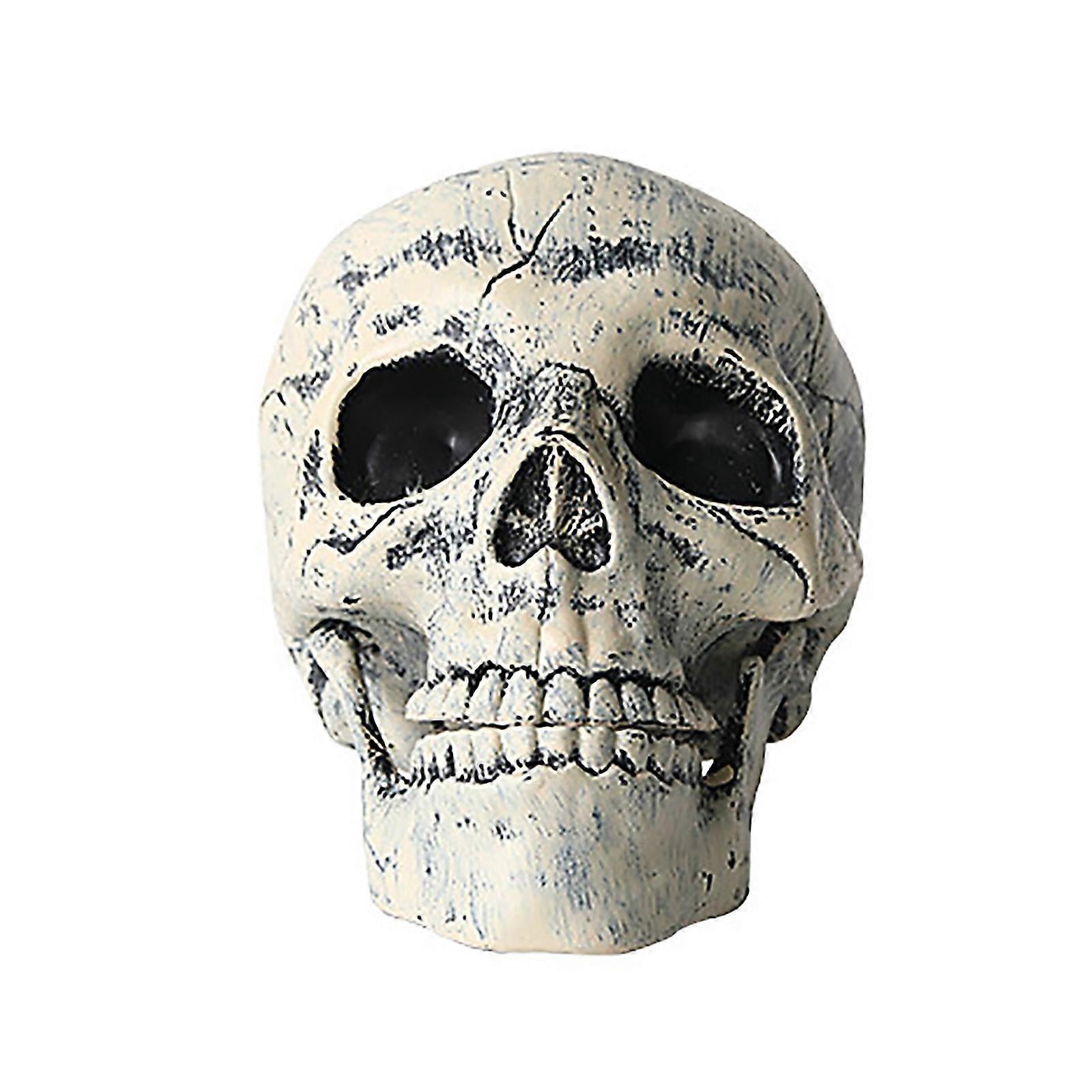 プラスチック製の人間の頭蓋骨と手のセット:不気味なハロウィーンの庭の装飾