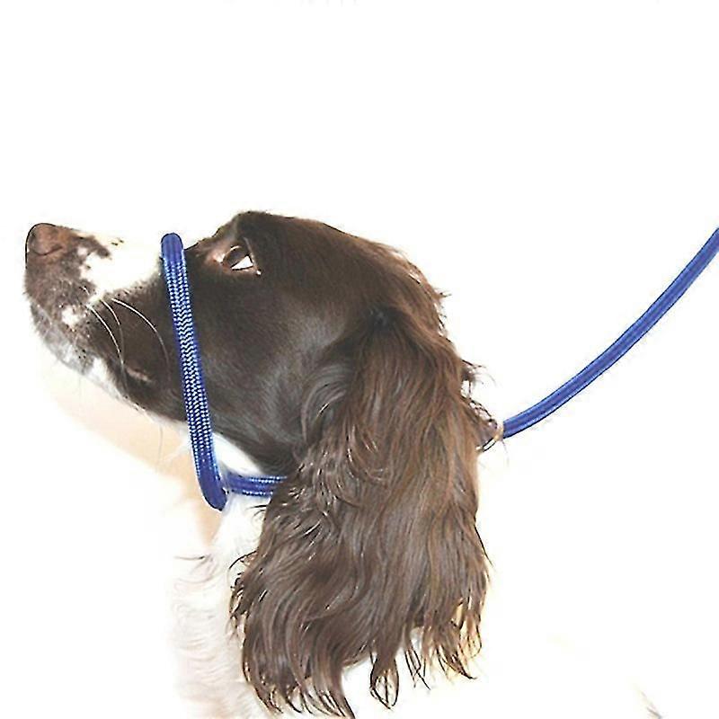 Figure 8 Anti-pull Leash/Harness/Head Collar Super Soft Braided Nylon Blue