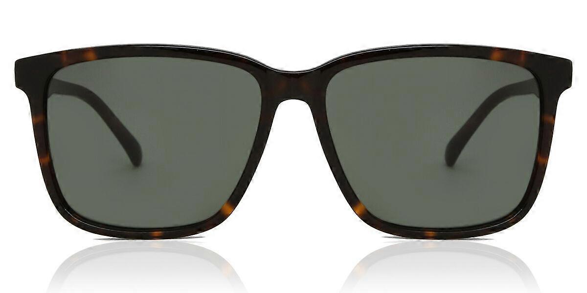 Rodenstock R3336 C Men Sunglasses
