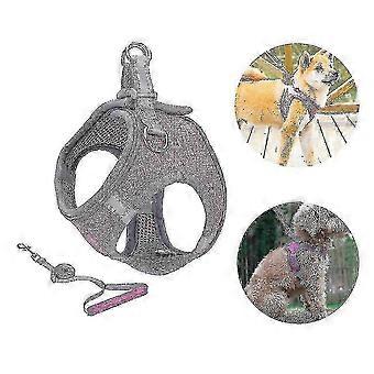 Petit harnais réfléchissant pour chien et ensemble de laisse, XS violet - Meilleur cadeau pour chiots