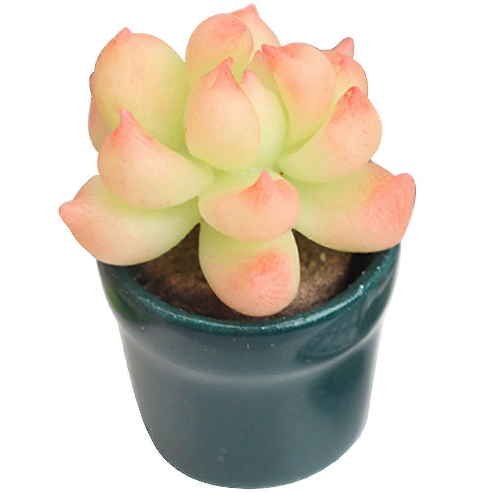 Mini Bonsai Model Miniature Design Ornament For Children Set Clay Ceramic