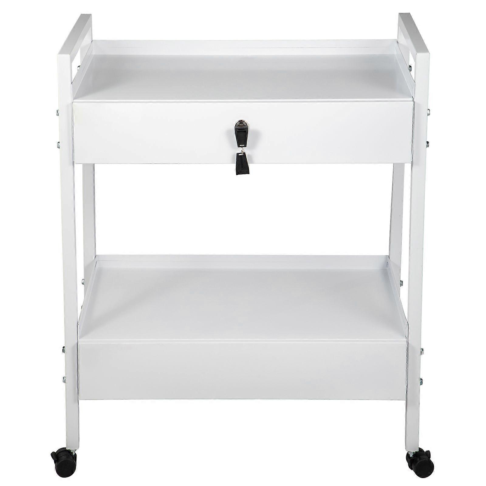 Lab Cart, 2 Tiers Stainless Steel Utility Cart, Medical Cart with 2 Drawers, Rolling Lab Cart White Paint, Serving Cart with Swivel Casters