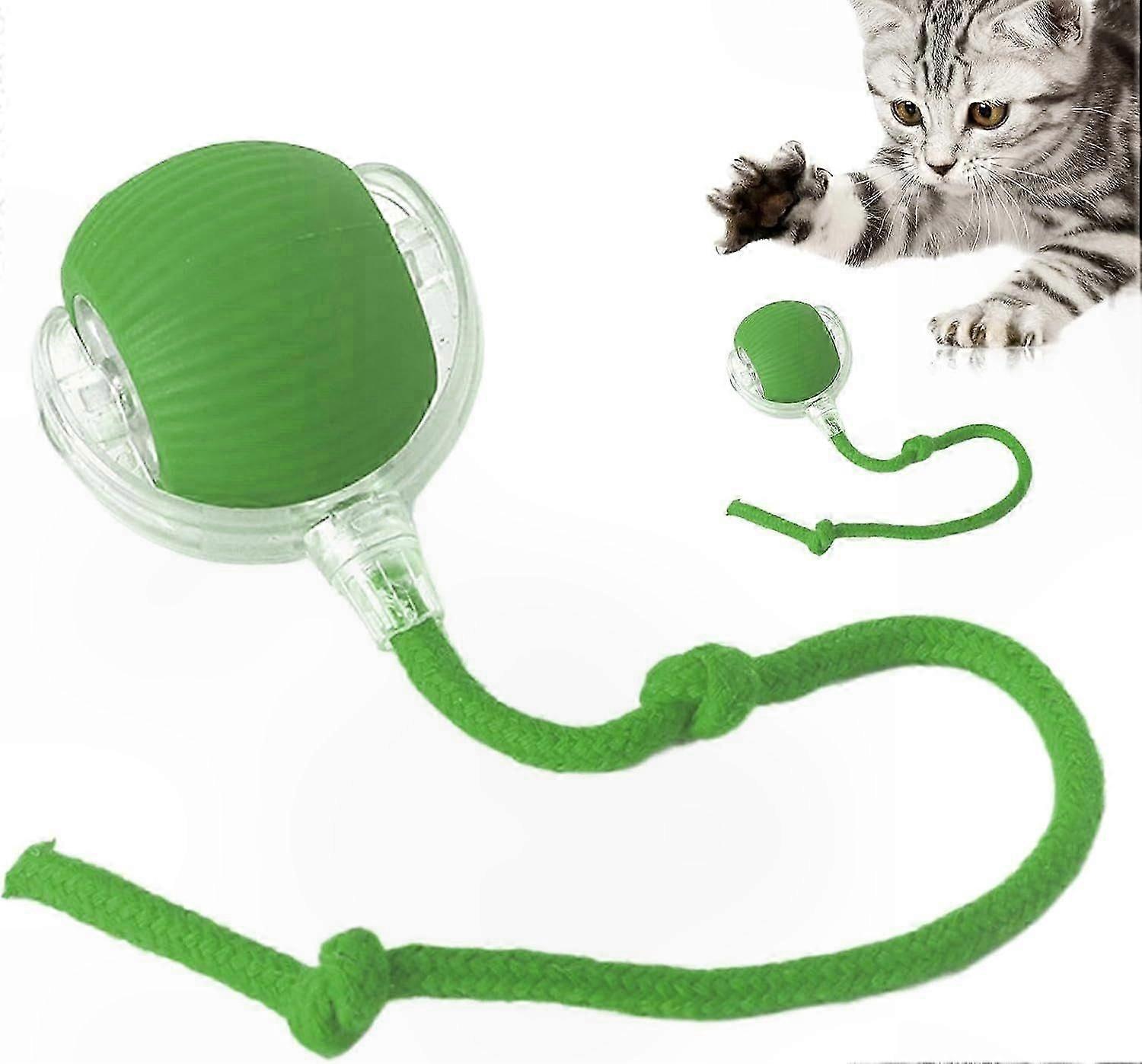 Interactive Rolling Ball for Pets, Engaging Play Toy for Cats and Dogs, Stimulating Activity Accessory