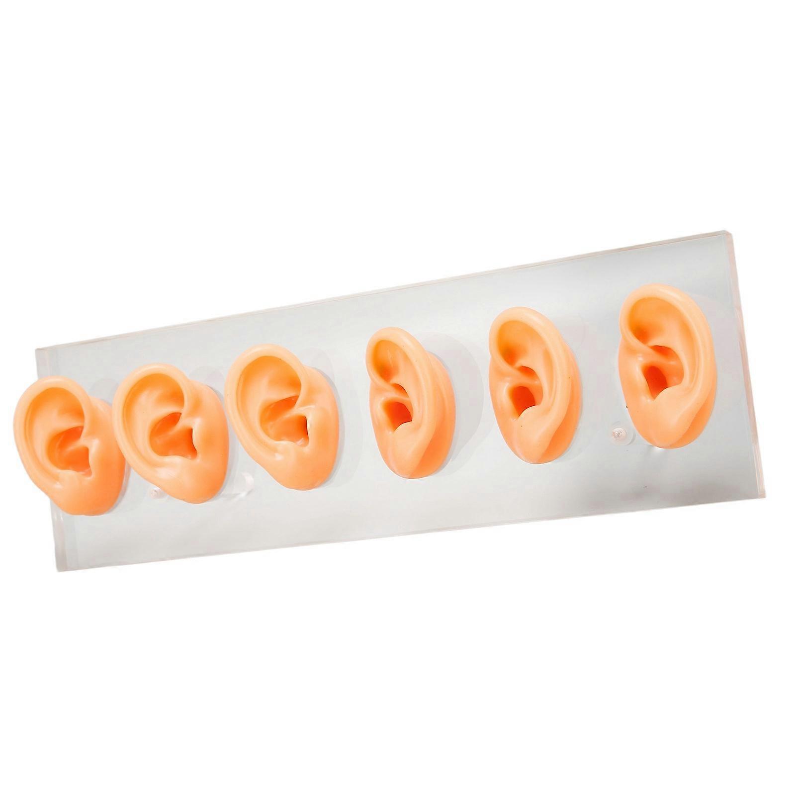 6 Pcs Soft Waterproof Silicone Ear Models with Acrylic Stand