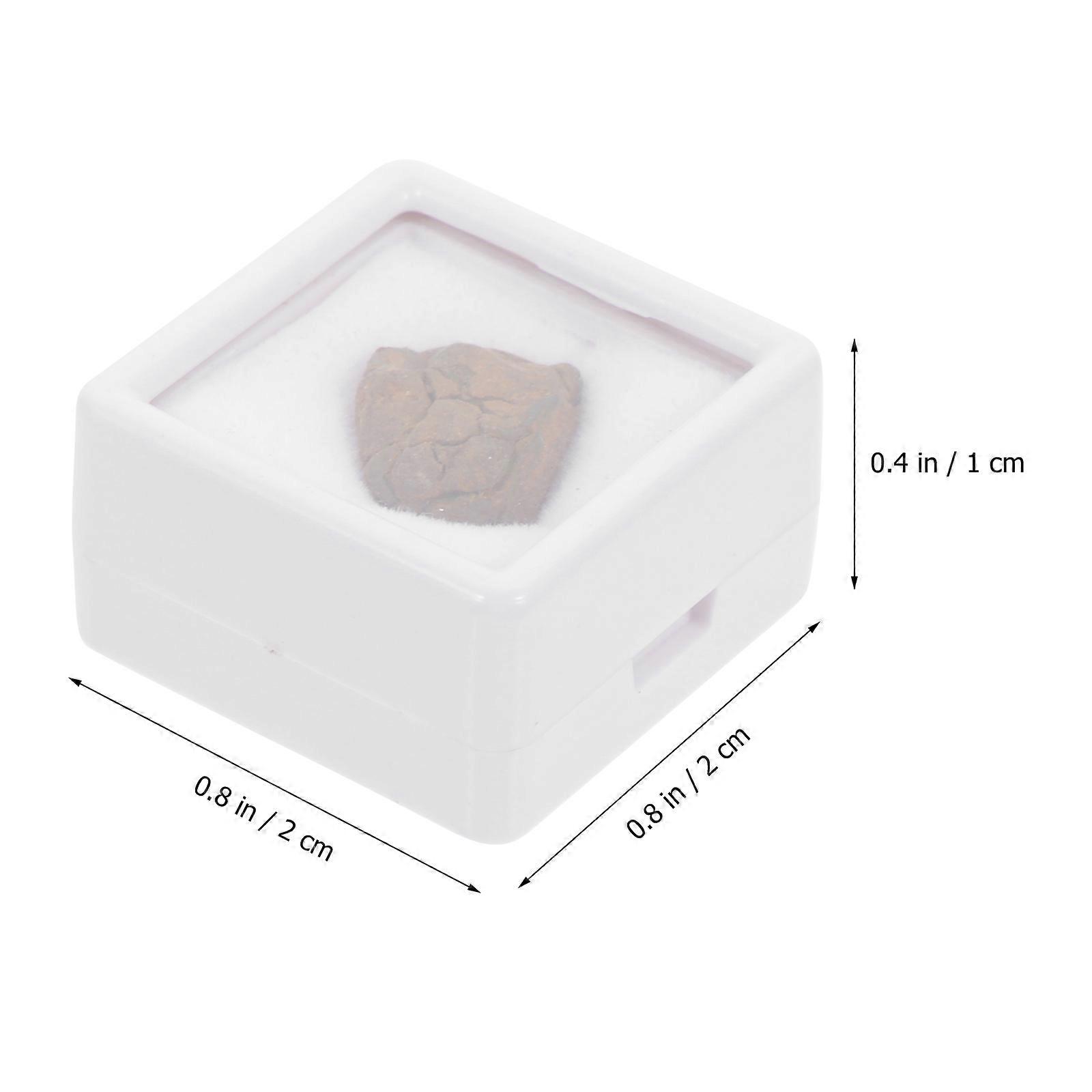 Teaching Specimen Lithosiderite Meteorite Adornment for Decoration 2Pcs
