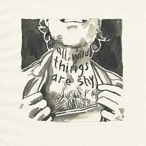 Laviolette, Richard - All Wild Things Are Shy [CD]