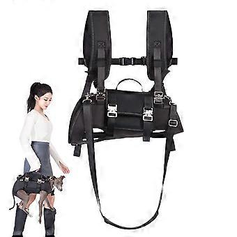 Dog Lift Harness with Shock Absorber Core and Anatomical Cushion for Injured and Senior Dogs