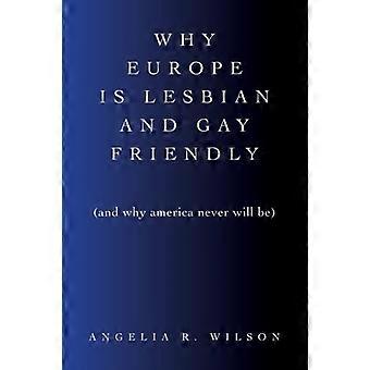 Warum Europa lesbisch und schwulenfreundlich ist (und warum Amerika es nie sein wird) (SUNY-Serie in Queer Politics and Cultures)