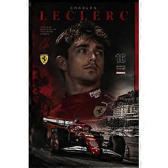 Charles Leclerc racing Jigsaw Puzzles DS-047