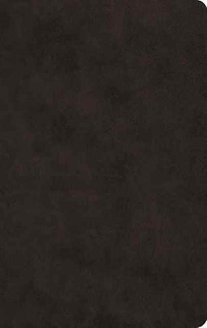 Esv Large Print Value Thinline Bible Paperback Book